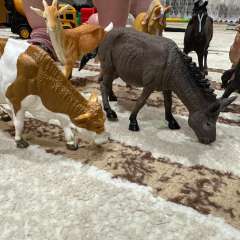 Фото отзыва 10650816