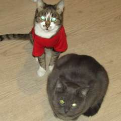 Фото отзыва 11085096