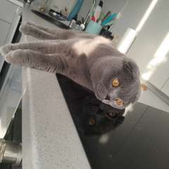 Фото отзыва 10951775