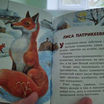 Книга Эксмо Любимые сказки и рассказы: отзыв пользователя Детский Мир