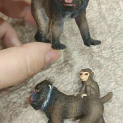 Фото отзыва 10692404