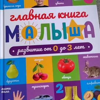 Развивающая Проф-Пресс Главная книга малыша от 0 до 3 лет: отзыв пользователя Детский Мир