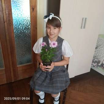 Ободок Babys JOY 1 шт.: отзыв пользователя Детский Мир