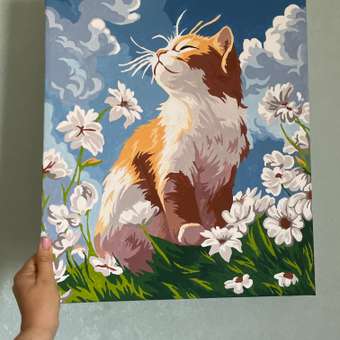 Картина по номерам Это просто шедевр В ромашках в ассортименте: отзыв пользователя Детский Мир