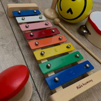 Игрушка музыкальная Kids Harmony бубен, маракас, ксилофон: отзыв пользователя ДетМир