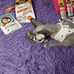 Видео отзыва 10922114