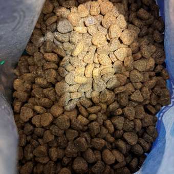 Корм для кошек Best Dinner Vet Profi Renal при острой или хронической болезни почек 1.5кг: отзыв пользователя. Зоомагазин Зоозавр