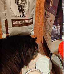 Фото отзыва 10746890