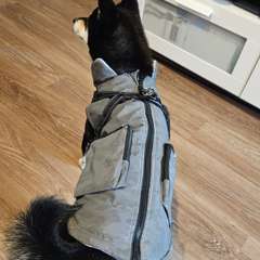 Фото отзыва 10430952