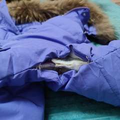 Фото отзыва 10711922