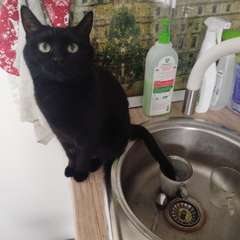 Фото отзыва 11118633