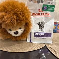 Фото отзыва 10929687