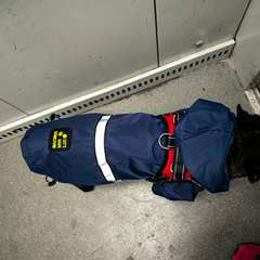 Фото отзыва 10429596