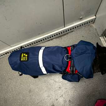 Дождевик-куртка для собак Зоозавр темно-синяя 45: отзыв пользователя. Зоомагазин Зоозавр