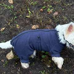 Фото отзыва 10584800