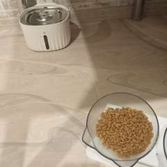 Фото отзыва 10776866