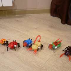 Фото отзыва 10835305