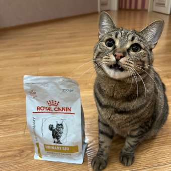 Корм для кошек ROYAL CANIN Urinary Moderate Calorie склонных к набору веса при мочекаменной болезни 350г: отзыв пользователя. Зоомагазин Зоозавр