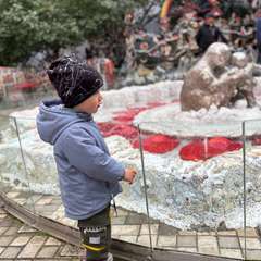 Фото отзыва 10531830