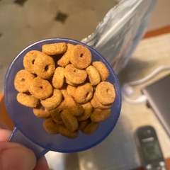 Фото отзыва 11041518