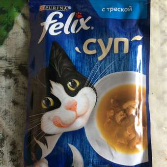Корм влажный для кошек Felix 48г суп треска: отзыв пользователя. Зоомагазин Зоозавр