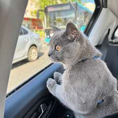 Фото отзыва 10613200