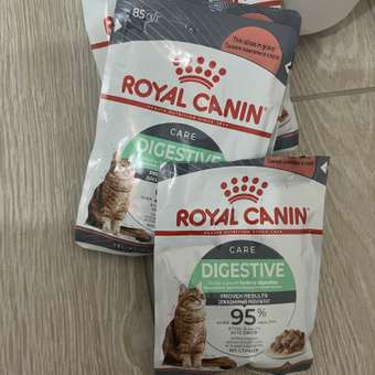 Корм для кошек Royal Canin 85г Digestive Care соус: отзыв пользователя. Зоомагазин Зоозавр
