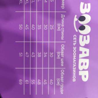 Комбинезон для собак и кошек Зоозавр: отзыв пользователя. Зоомагазин Зоозавр