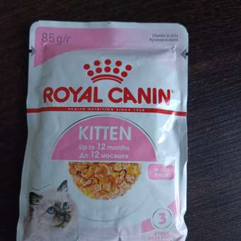 Корм влажный для котят ROYAL CANIN Kitten Instictive 85г желе пауч 77850: отзыв пользователя. Зоомагазин Зоозавр