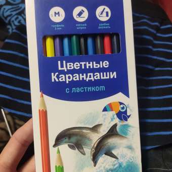 Карандаши цветные Erhaft 24 шт.: отзыв пользователя ДетМир