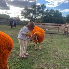 Фото отзыва 10993637