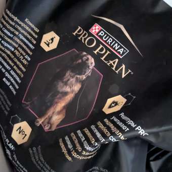 Корм для собак PRO PLAN крупных пород с мощным телосложением с чувствительной кожей с комплексом Optiderma лосось с рисом 14кг: отзыв пользователя. Зоомагазин Зоозавр