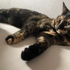 Фото отзыва 10802882