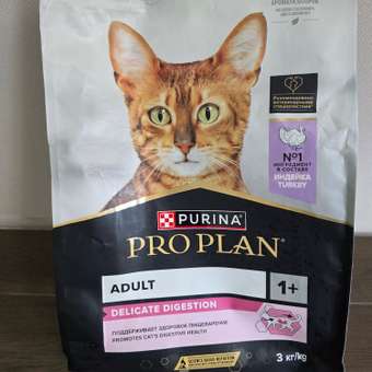 Корм сухой для кошек PRO PLAN DELICATE DIGESTION 3 кг с индейкой: отзыв пользователя. Зоомагазин Зоозавр