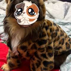 Фото отзыва 10820178