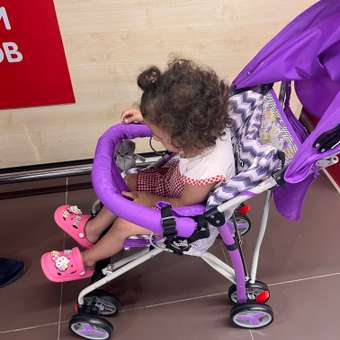 Коляска прогулочная Babyton Light Purple: отзыв пользователя ДетМир