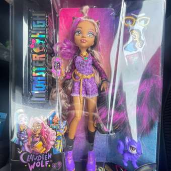 Кукла модельная Monster High Clawdeen: отзыв пользователя ДетМир