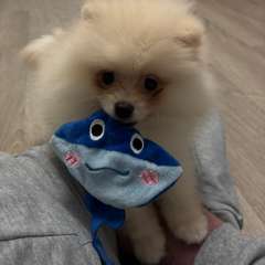 Фото отзыва 10712803