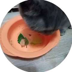 Видео отзыва 9107045