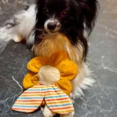 Фото отзыва 10540725