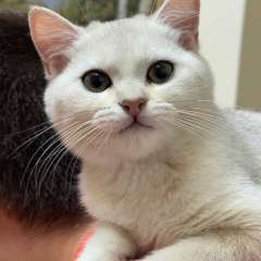 Фото отзыва 10968572