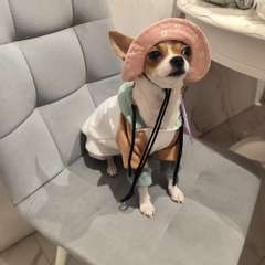 Фото отзыва 10745606