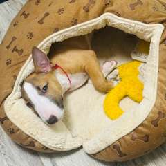 Фото отзыва 10653660