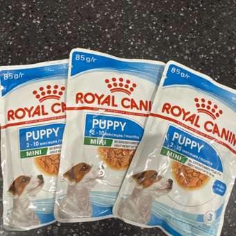Корм для щенков Royal Canin Mini Puppy мелких пород до 10 месяцев кусочки в соусе пауч 85г: отзыв пользователя. Зоомагазин Зоозавр