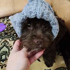 Фото отзыва 10747215