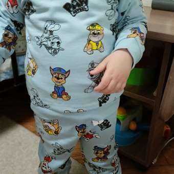 Свитшот Paw Patrol: отзыв пользователя ДетМир