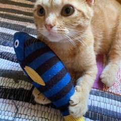 Фото отзыва 9730415