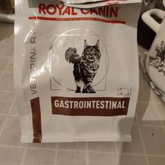 Фото отзыва 10523140