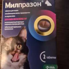 Фото отзыва 10517018