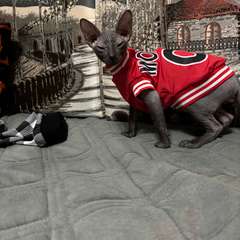 Фото отзыва 10495125